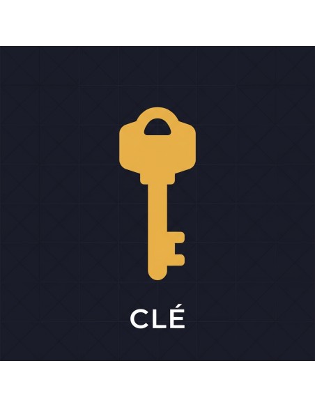 Clé TK100