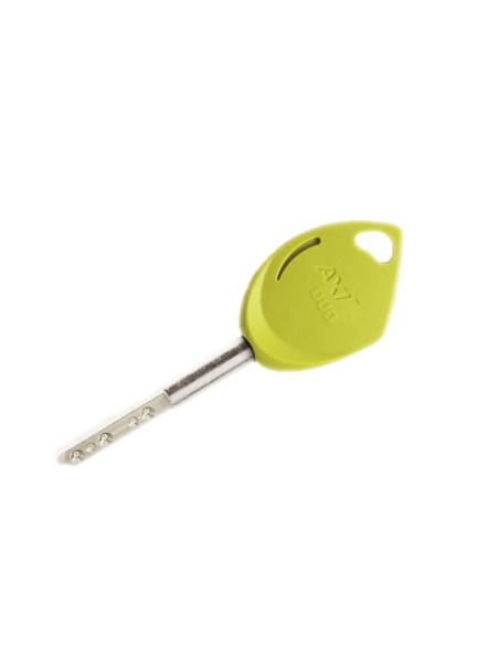 Clé Assa Abloy Axi'home DUO
