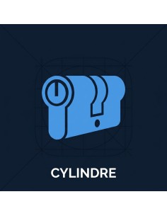 Cylindre Cylindre BRICARD Dual XP S2 à bouton