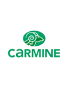 Carmine